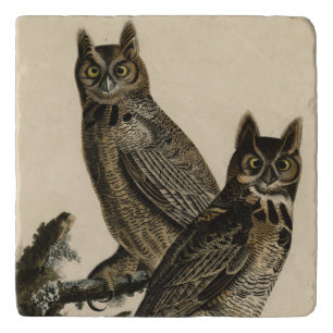 Great Horned Owl from Audubon's Birds of America Trivet