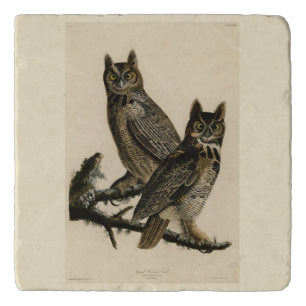 Great Horned Owl from Audubon's Birds of America Trivet