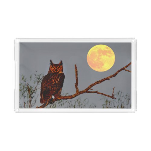 Great Horned Owl  Full Moon Acrylic Tray