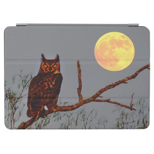 Great Horned Owl  Full Moon iPad Air Cover