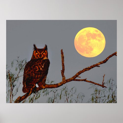 Great Horned Owl  Full Moon Poster