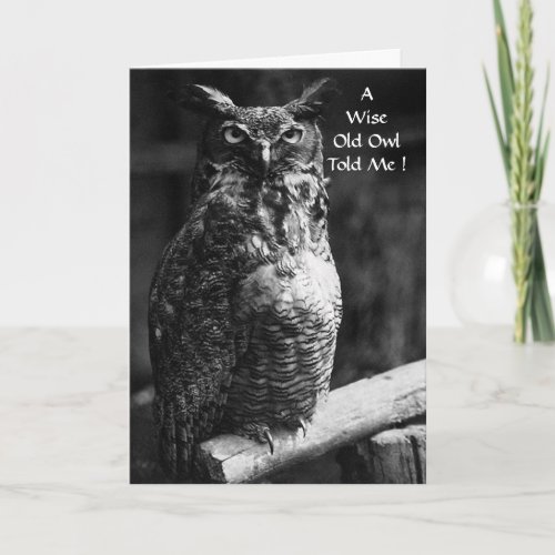 Great Horned Owl Graduation Card