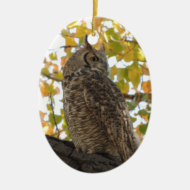 Great Horned Owl in a Tree Ceramic Ornament (Front)