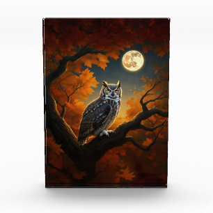 Great Horned Owl in Autumn Acrylic Award