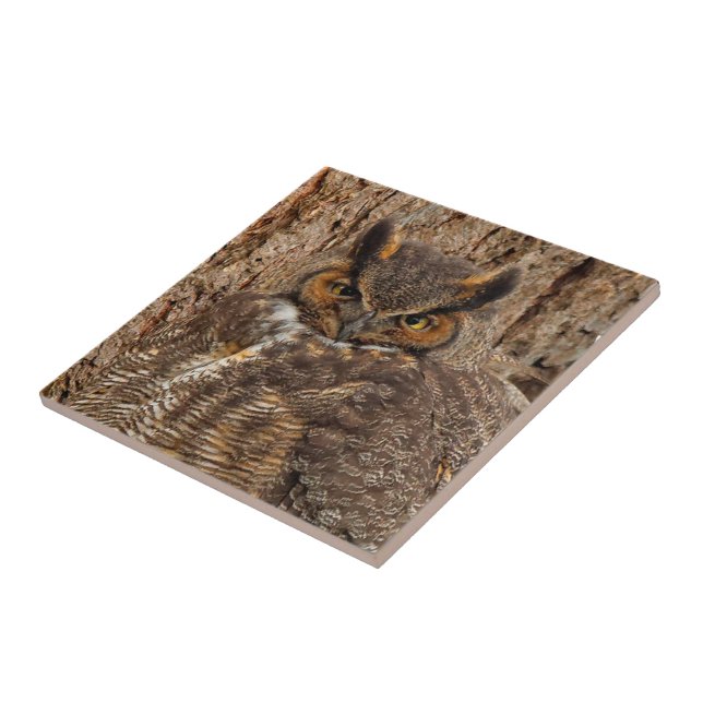 Great Horned Owl in the Douglas Fir Ceramic Tile (Side)