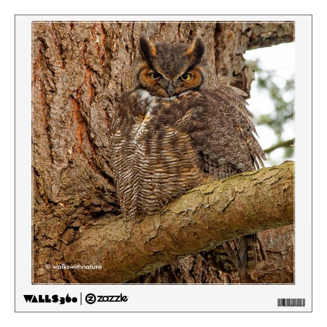 Great Horned Owl in the Douglas Fir Wall Sticker (Front)