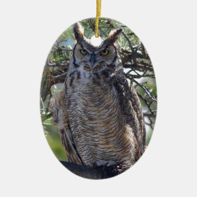 Great Horned Owl in the Tree Ceramic Ornament (Front)