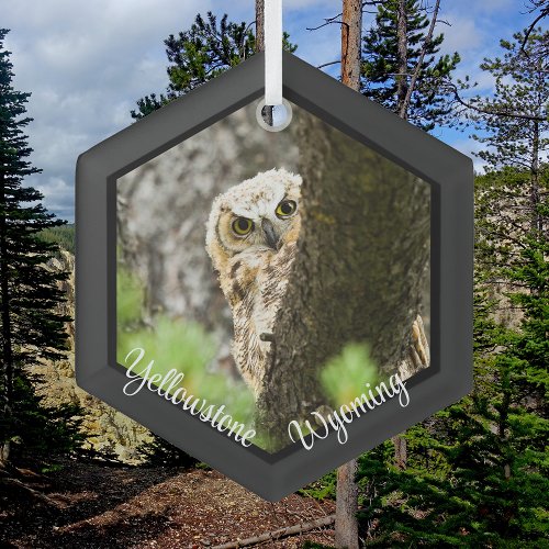 Great Horned Owl In Yellowstone Glass Ornament