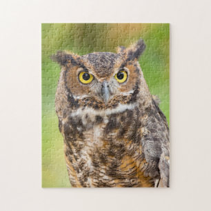 Great Horned Owl Jigsaw Puzzle