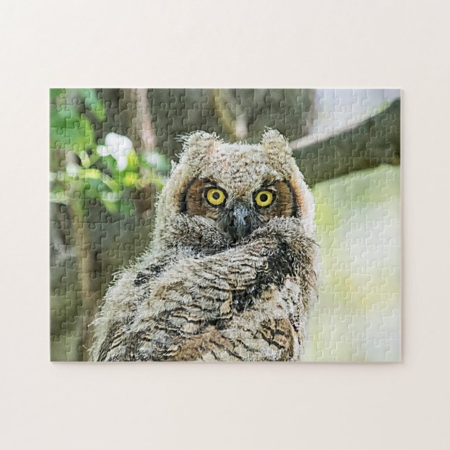 Great Horned Owl Jigsaw Puzzle (Horizontal)