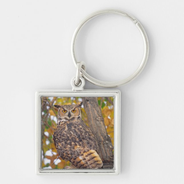 Great Horned Owl Keychain (Front)
