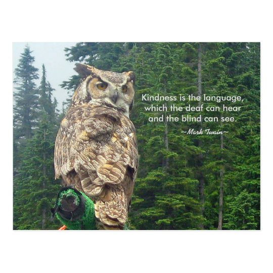 Great Horned Owl Kindness Postcard 