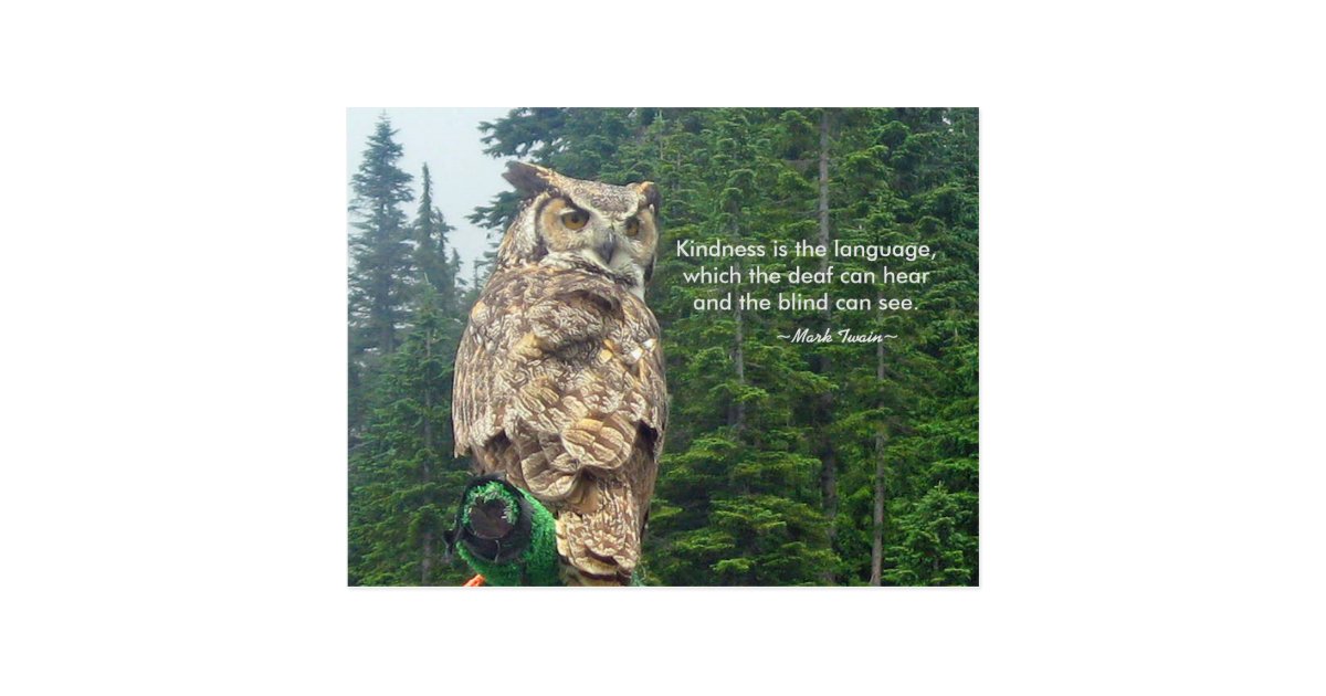 Great Horned Owl Kindness Postcard | Zazzle.com