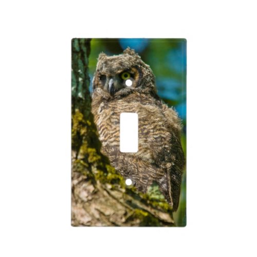 Great Horned Owl Light Switch Cover