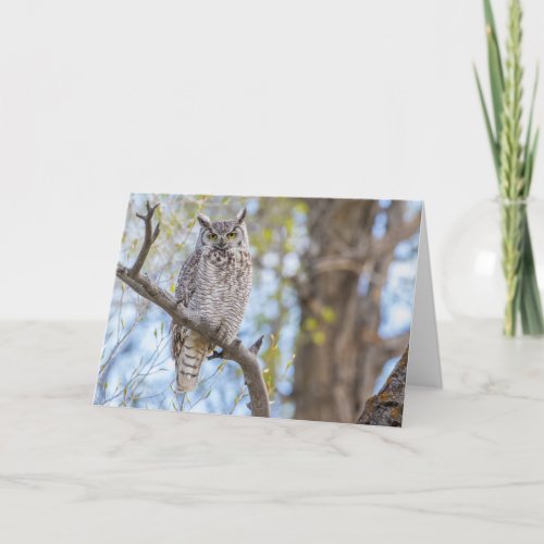 Great Horned Owl  Lincoln County Wyoming Card