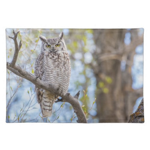 Great Horned Owl  Lincoln County Wyoming Cloth Placemat