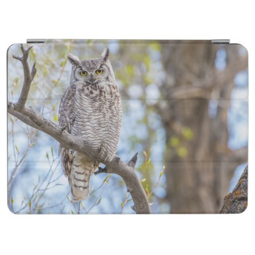 Great Horned Owl  Lincoln County Wyoming iPad Air Cover