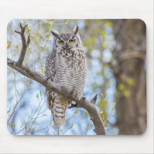 Great Horned Owl  Lincoln County Wyoming Mouse Pad