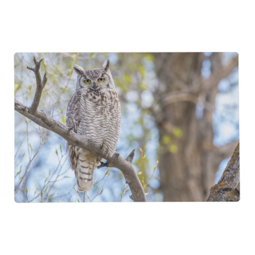 Great Horned Owl  Lincoln County Wyoming Placemat