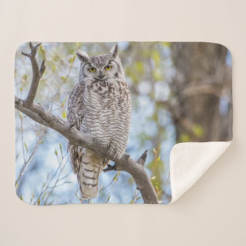Great Horned Owl  Lincoln County Wyoming Sherpa Blanket