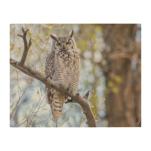 Great Horned Owl  Lincoln County Wyoming Wood Wall Art