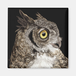 Great-Horned Owl Magnet
