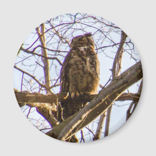 Great Horned Owl Magnet