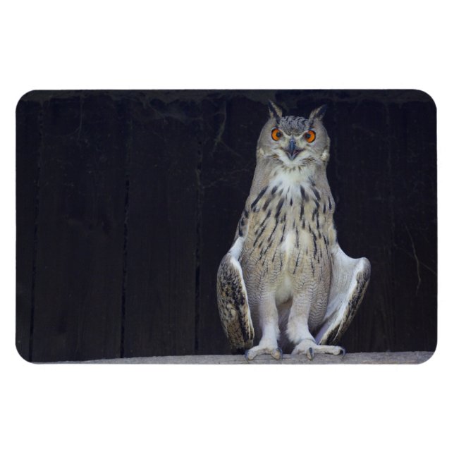 Great Horned Owl Magnet (Horizontal)