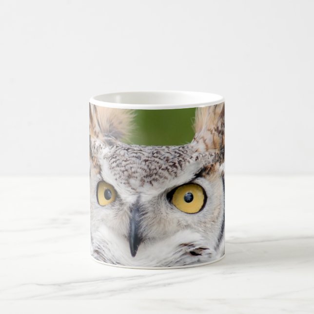 Great Horned Owl Mug (Center)