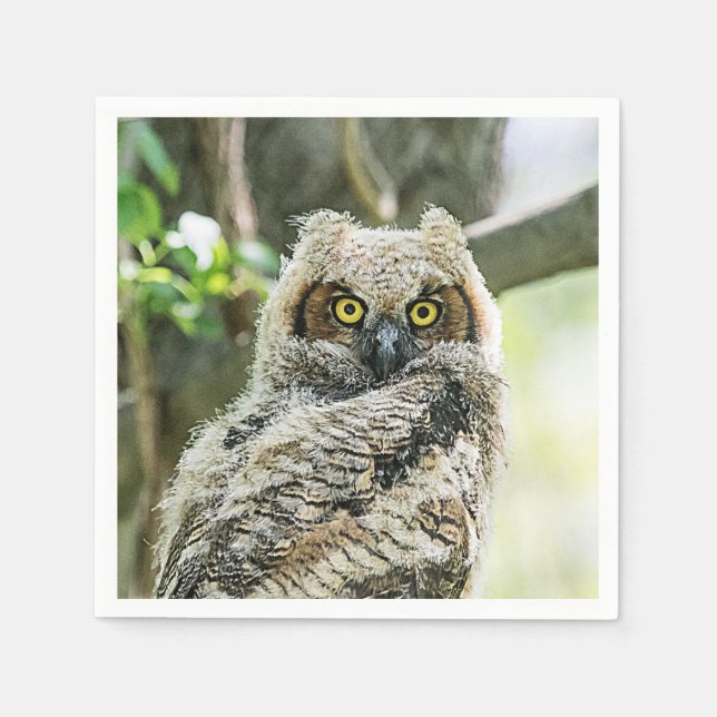 Great Horned Owl Napkins (Front)