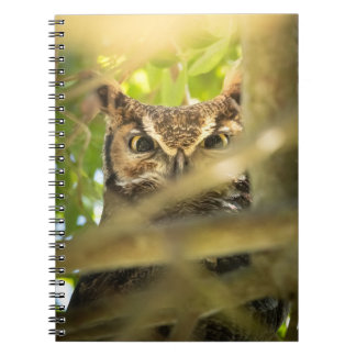 Great Horned Owl Notebook | Hidden Forest Bird
