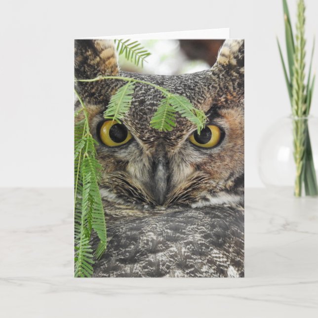 Great Horned Owl Notecard (Front)