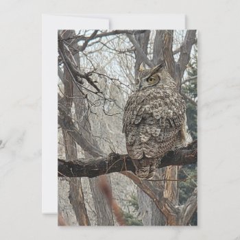 Great Horned Owl - Number 3 Holiday Card by llaureti at Zazzle