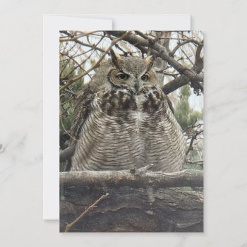 Great Horned Owl - Number 4 Big Floof Holiday Card by llaureti at Zazzle