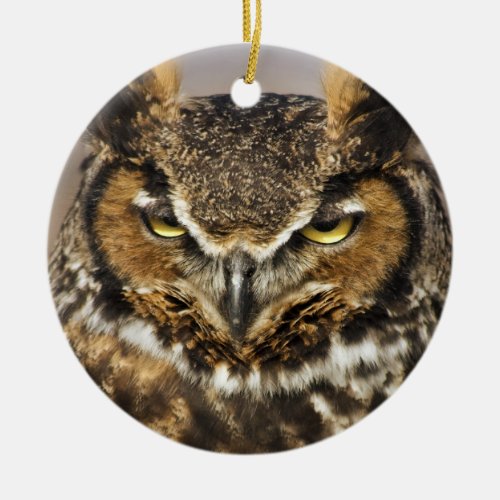Great Horned Owl Ornament
