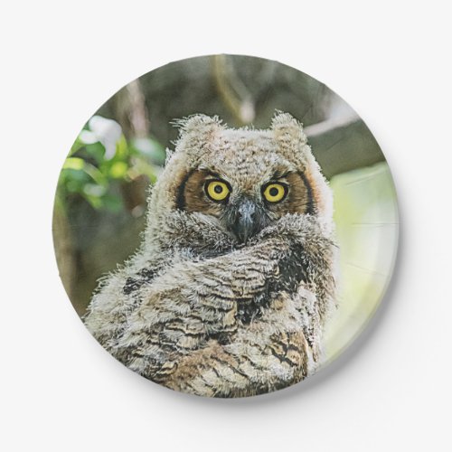 Great Horned Owl Paper Plates