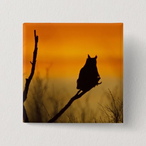 Great Horned Owl perched at sunset Pinback Button