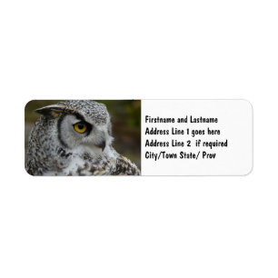 Great Horned Owl Photograph Label