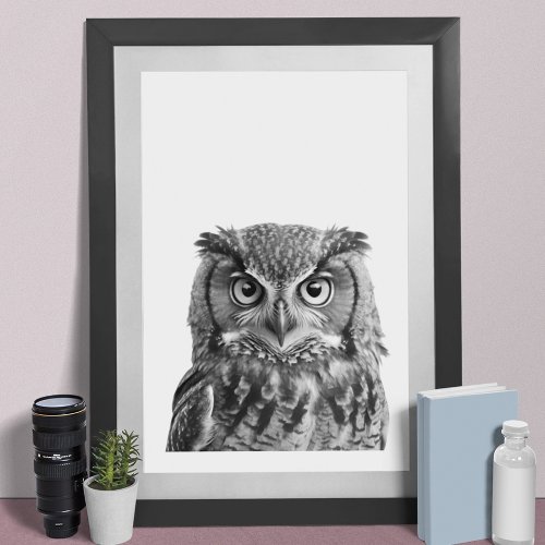 Great Horned Owl Portrait black white Poster