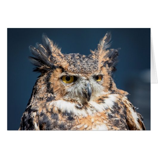 Great Horned Owl Portrait Cards (Front Horizontal)