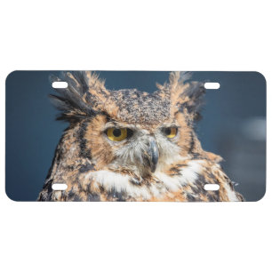 Great Horned Owl Portrait License Plate