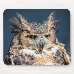 Great Horned Owl Portrait Mouse Pad
