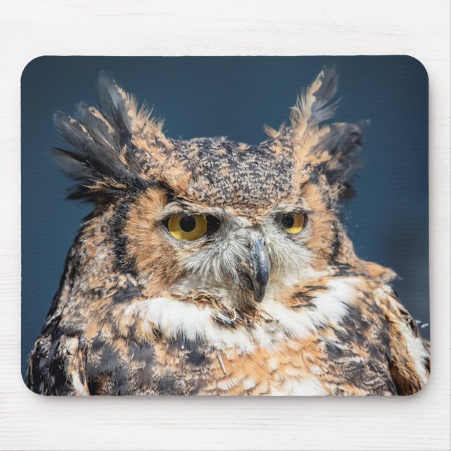 Great Horned Owl Portrait Mouse Pad (Front)