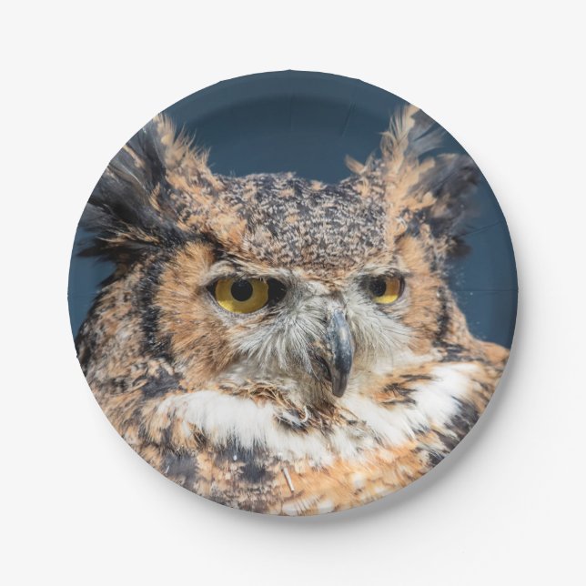 Great Horned Owl Portrait Paper Plates (Front)