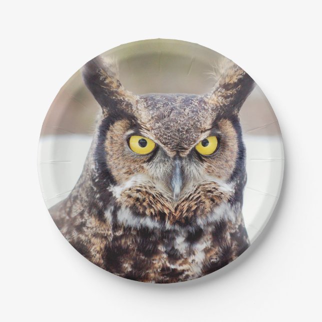 Great horned owl portrait paper plates (Front)