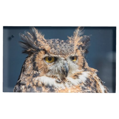 Great Horned Owl Portrait Place Card Holder