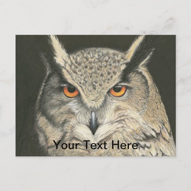 Great Horned Owl Postcard (Front)