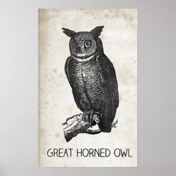 Great Horned Owl Poster by camcguire at Zazzle