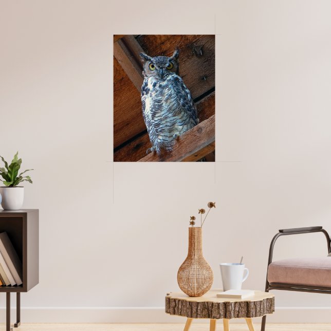Great Horned Owl Poster Print (Living Room 3)