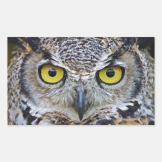 great horned owl rectangular sticker